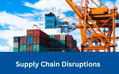 Supply Chain Disruptions: Insuring Against the Unexpected
