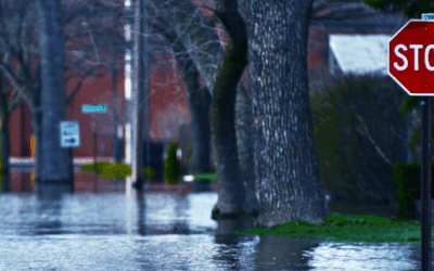 Making Your Home Climate-Resilient: Practical Steps to Reduce Insurance Costs